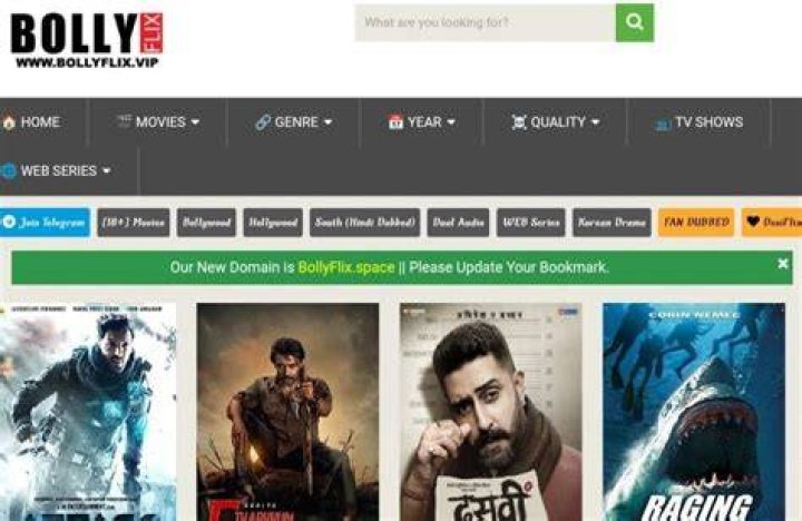BollyFlix.fans: Your Ultimate Destination for Bollywood Entertainment