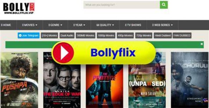 Bollyflix.org .in: Your Ultimate Guide to Streaming Bollywood Movies