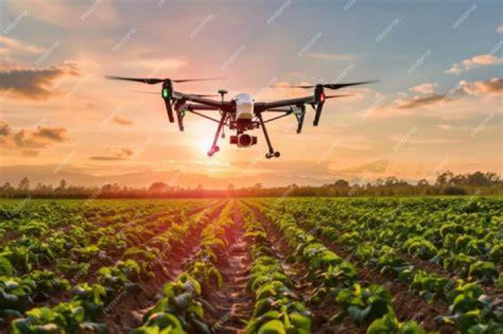 Farmer Briar: The Modern-Day Agricultural Innovator Revolutionizing Farming