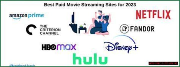 Moviezrulz: The Ultimate Guide to Understanding and Navigating This Streaming Domain