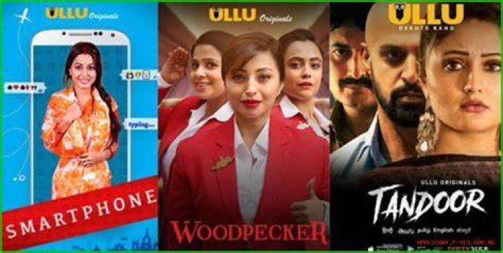 South Indian Ullu Web Series: Exploring the Rise of Thrilling Content in the Digital Age