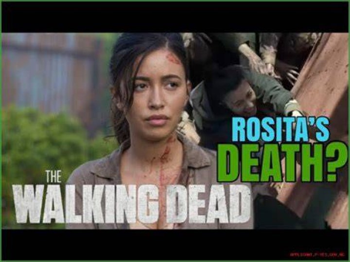 The Walking Dead Rosita Death: A Comprehensive Analysis