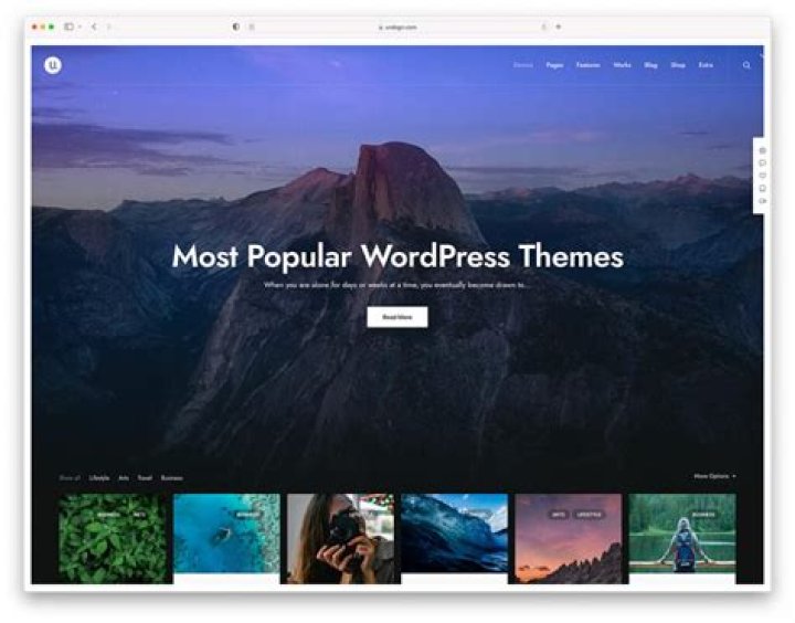 Theme Monk: Revolutionizing WordPress Themes for Your Website