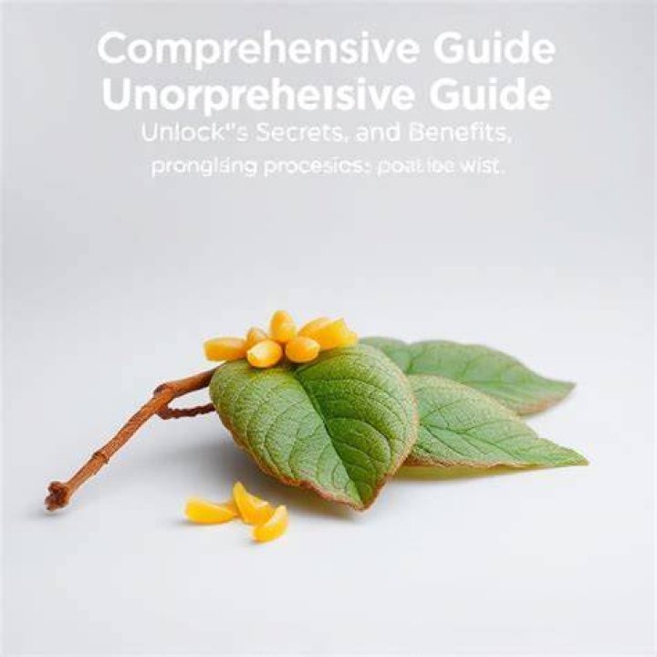 Unlocking the Secrets of Okhatarimaza.com: A Comprehensive Guide