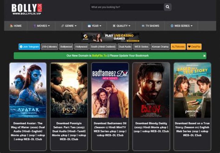 Unveiling the Truth About www.bollyflix.vip: Your Ultimate Guide to Legal and Safe Streaming