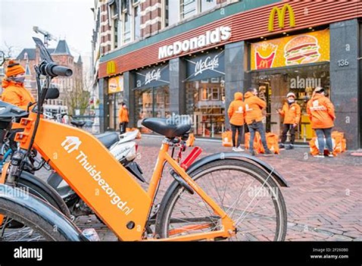 Vegamoves.nl: Revolutionizing Vegan Food Delivery in the Netherlands