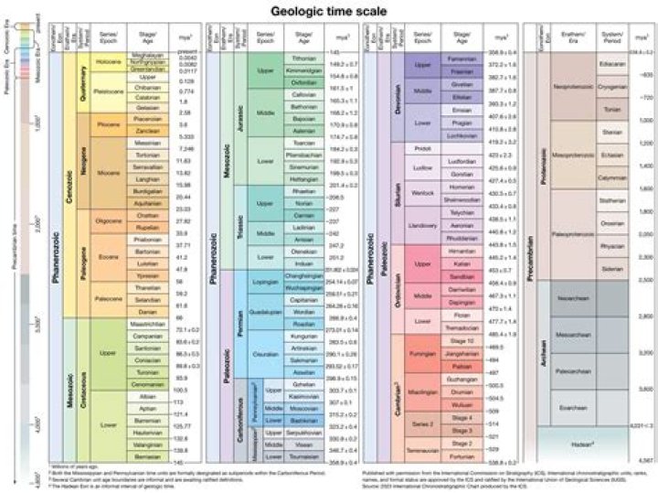 Which Period on the Geological Time Scale Did Insects Appear? A Comprehensive Exploration